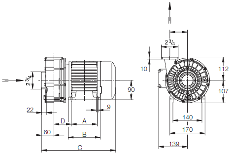 Насос для Бассейна Speck BADU 21–50, 21–60